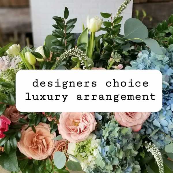Luxury Designer Choice