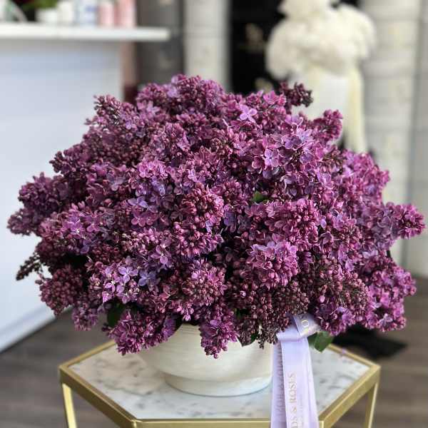 Purple lilac bouquet in a white vase with a ribbon