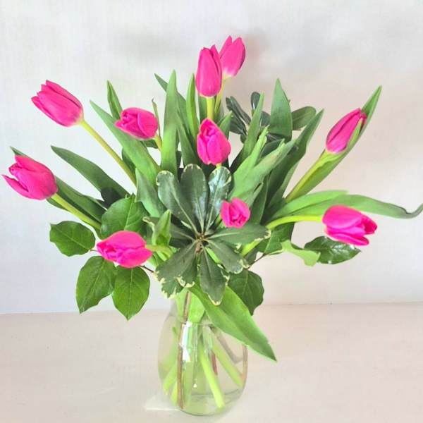Elegant Tulips