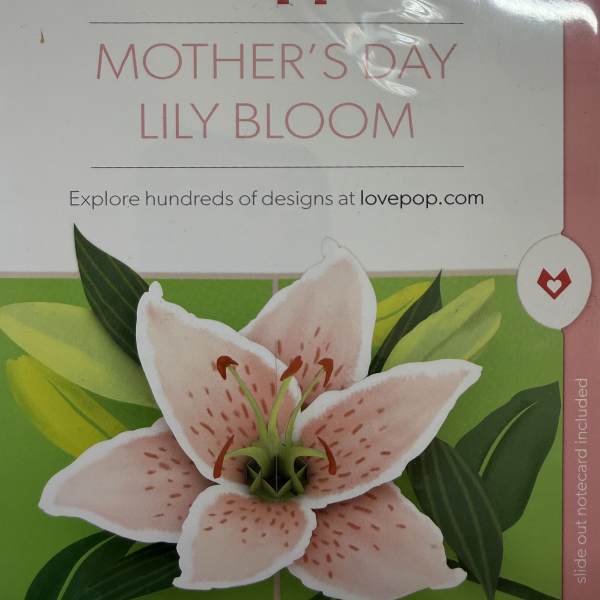 ***MUST BE ORDERED WITH FLOWERS OR PLANTS*** Mother's Day Love Pop Cards