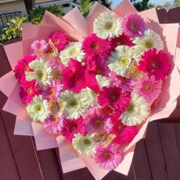 Corazón de llervera