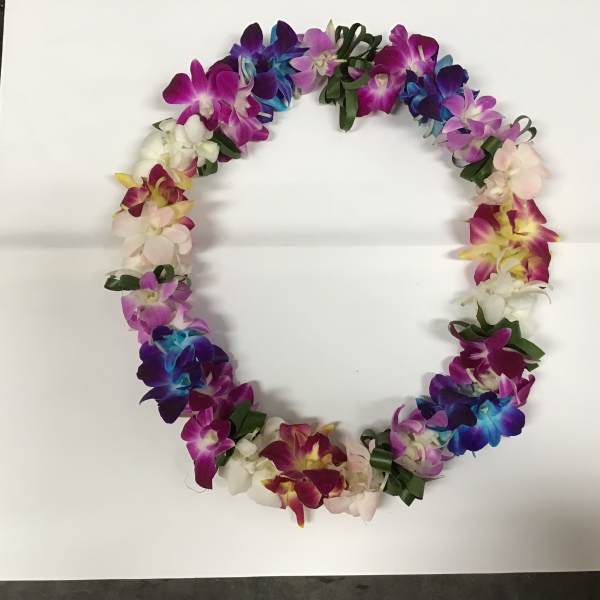 Colorful orchid lei arranged in a circle on a white background