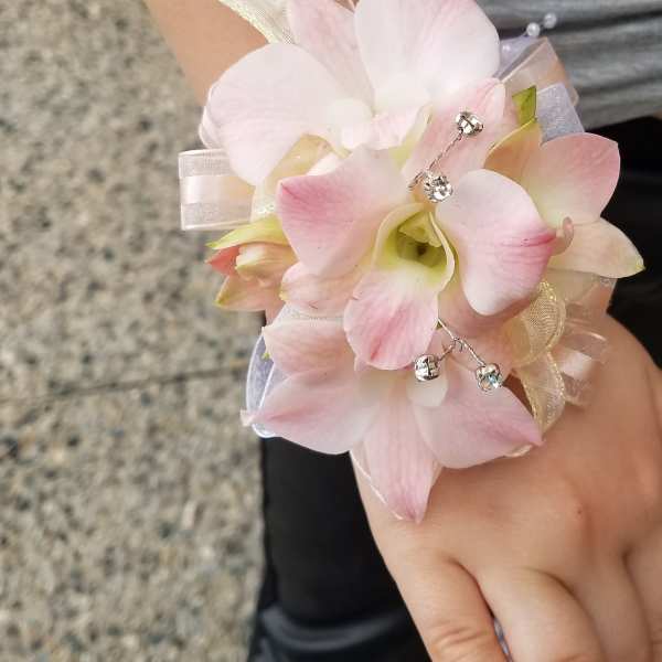 Blush Orchid Wrist Corsage