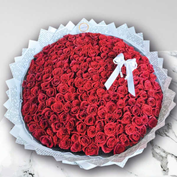 Large round bouquet of red roses wrapped in printed paper with a white ribbon