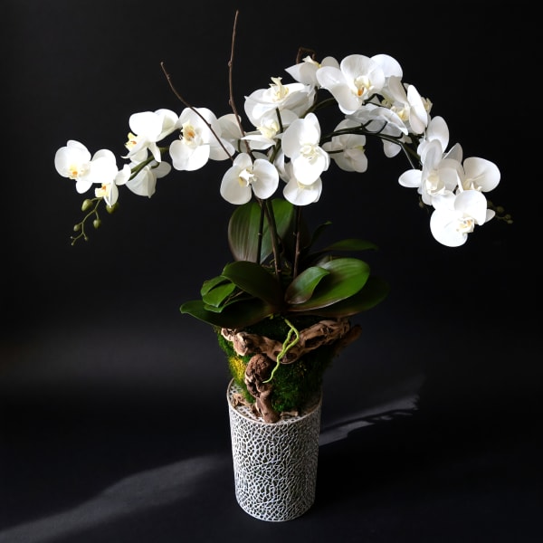 Permanent Orchid Planter
