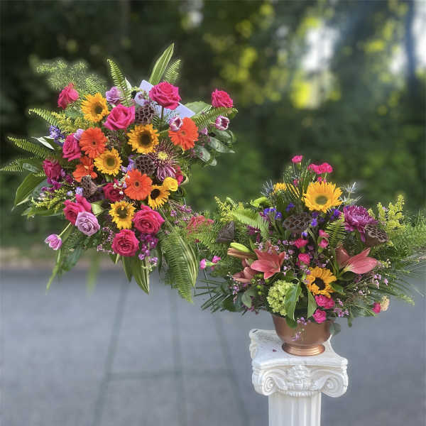 Sunshine Celebration