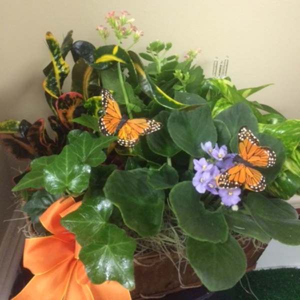 Potted plant arrangement with purple flowers and butterfly decorations