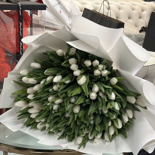 Century (100) of White tulips