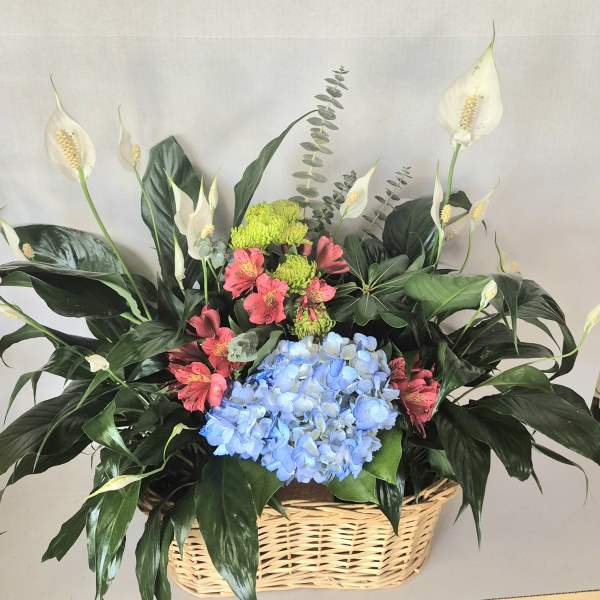 Basket arrangement with blue hydrangeas, pink alstroemeria, and white peace lilies