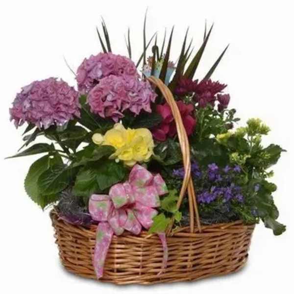 Legacy Grand Plant Basket