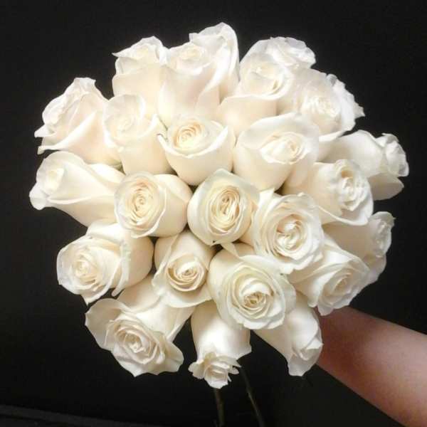 Bouquet of white roses held against a dark background