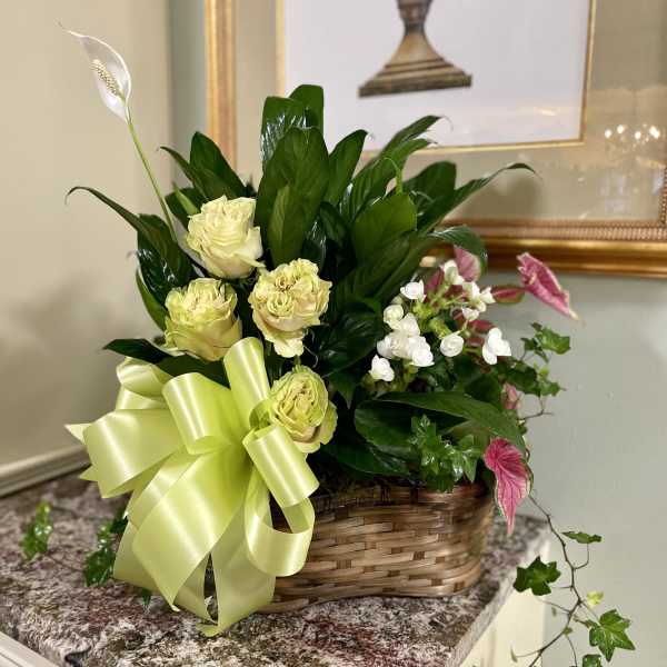 Basket arrangement of pale yellow roses with white blooms and a large ribbon
