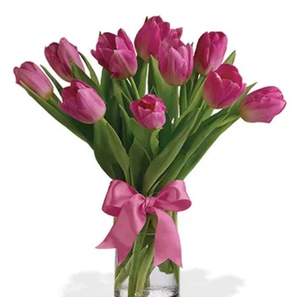 Pink tulips in a clear glass vase tied with a pink ribbon