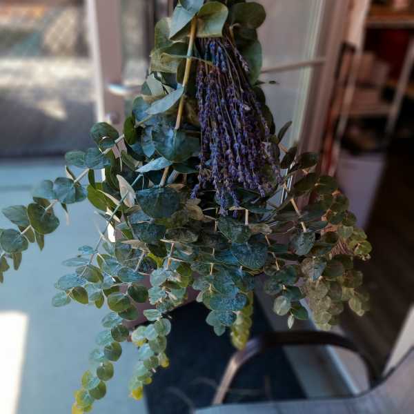 Hanging bundle of eucalyptus with small purple flowers