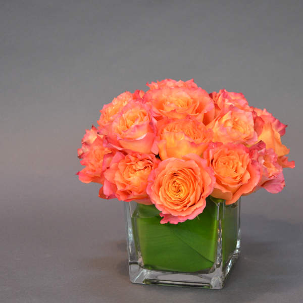 Orange roses arranged in a square glass vase