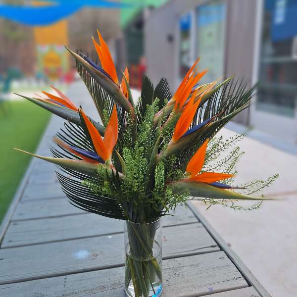 Bird of paradise flowers in a clear glass vase