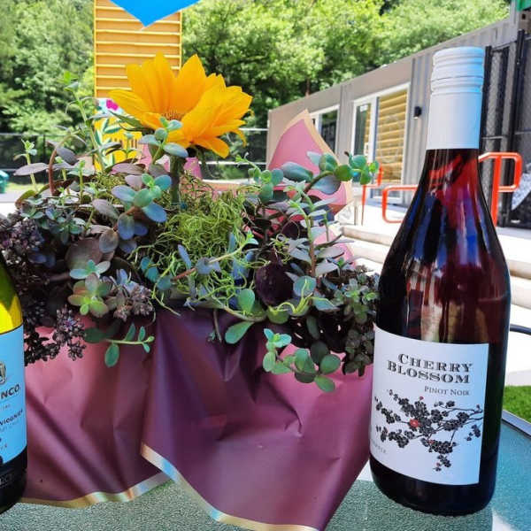 Succulent arrangement with yellow flowers between two wine bottles