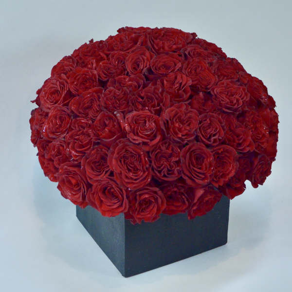Dense dome of red roses in a black square box