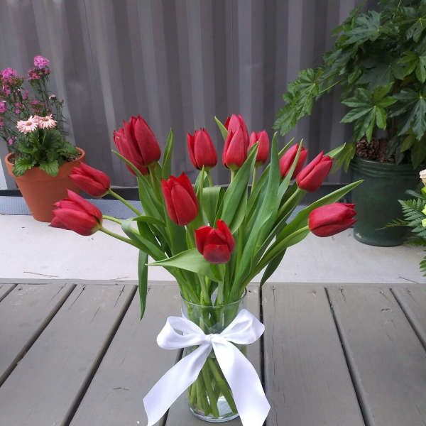 Red tulips in a clear glass vase tied with a white ribbon