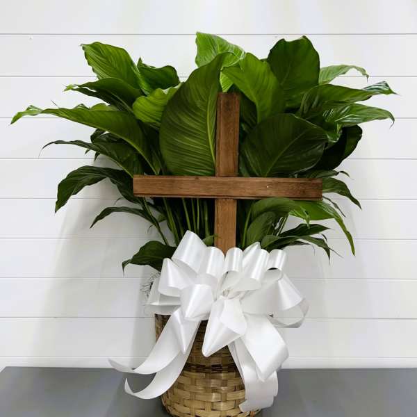 Potted green plant with a wooden cross and white ribbon in a woven basket