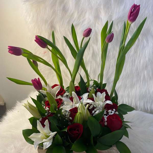 Garden tulips and roses