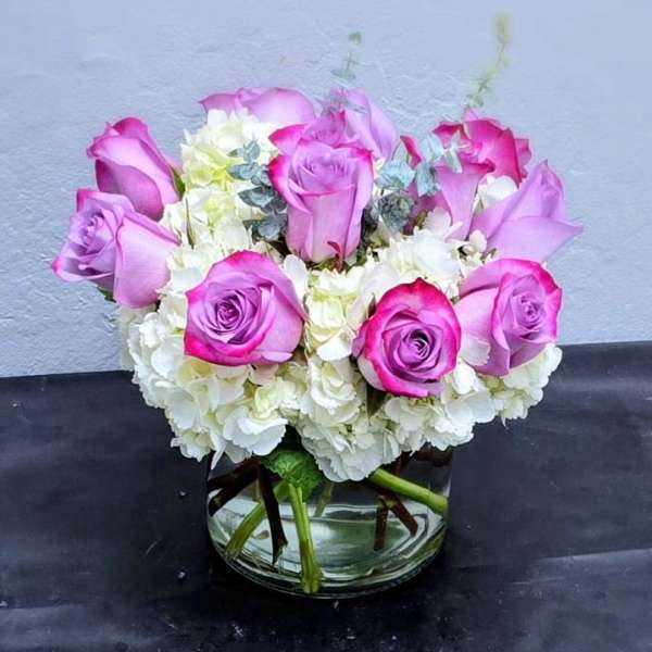 Lavender Love Harmony