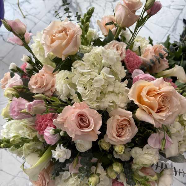 Bouquet of blush roses, white hydrangeas, and pink lisianthus