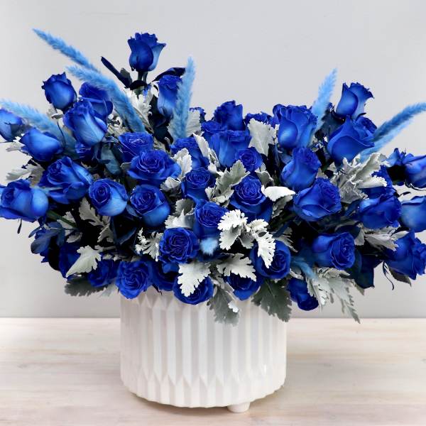 Large arrangement of vivid blue roses with silver-toned foliage in a white ceramic vase