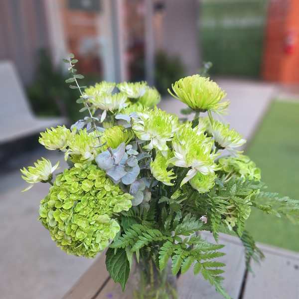 Green chrysanthemum and hydrangea bouquet in a glass vase