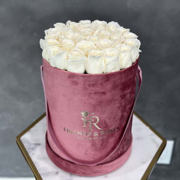White roses arranged in a pink velvet hat box