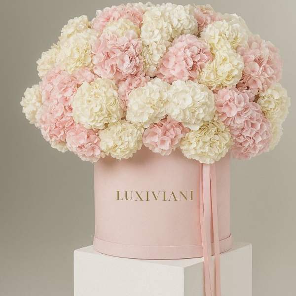 Pink and white hydrangeas arranged in a round hatbox with ribbon