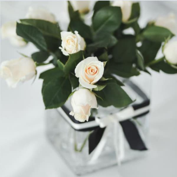 White roses in a clear square vase with a black-and-white ribbon