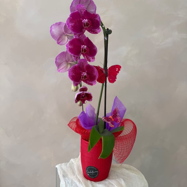 Magenta orchids in a red pot with butterfly decorations