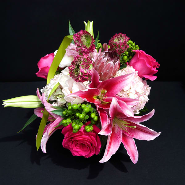 Amelia