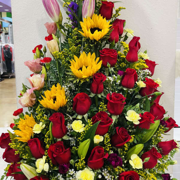 beautiful roses