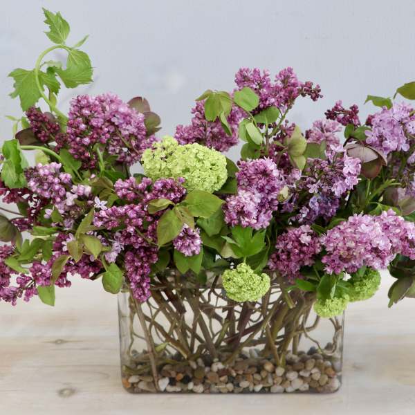 Pink and purple lilac arrangement in a glass vase with pebbles