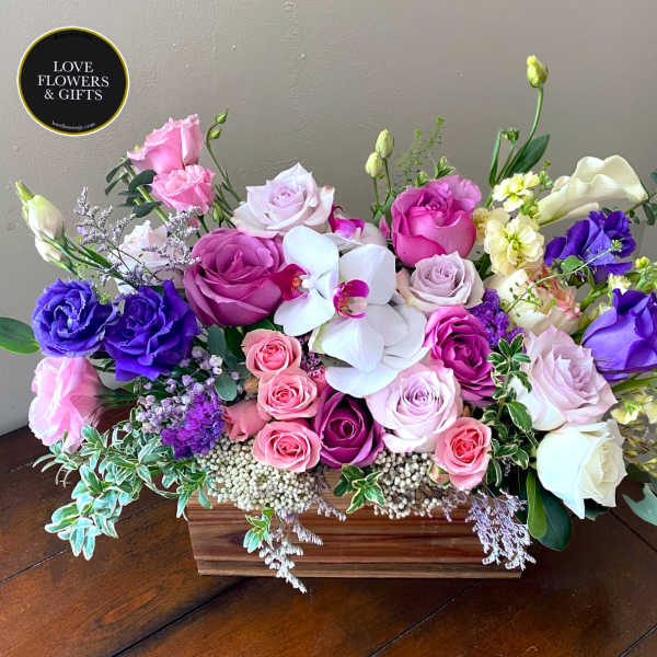 Lavender (Wide Box)