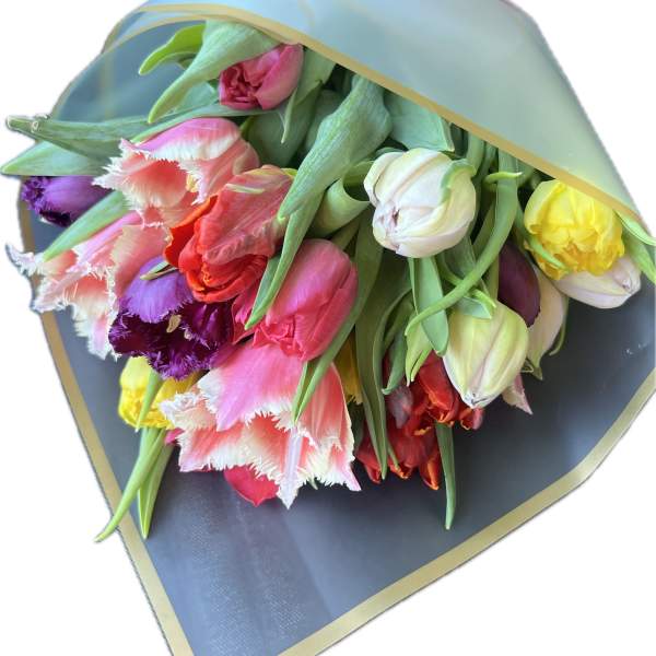 Bouquet of multicolored tulips wrapped in blue paper with a plaid ribbon