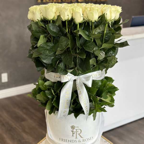 Cream roses arranged in a white hat box with a ribbon