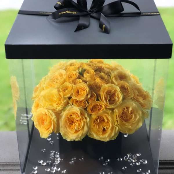 Black surprise box