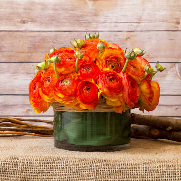 Orange ranunculus arrangement in a green glass vase