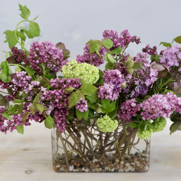 Pink and purple lilac arrangement in a clear glass vase