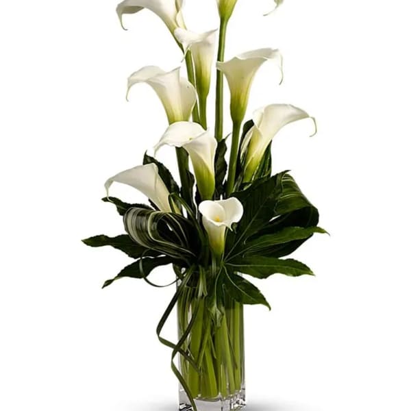 Tall arrangement of white calla lilies with dramatic green leaves in a clear glass vase