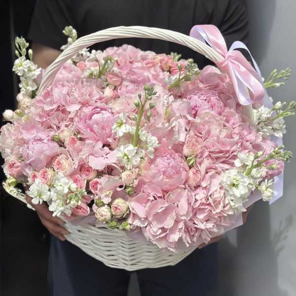 Pink Velvet Garden