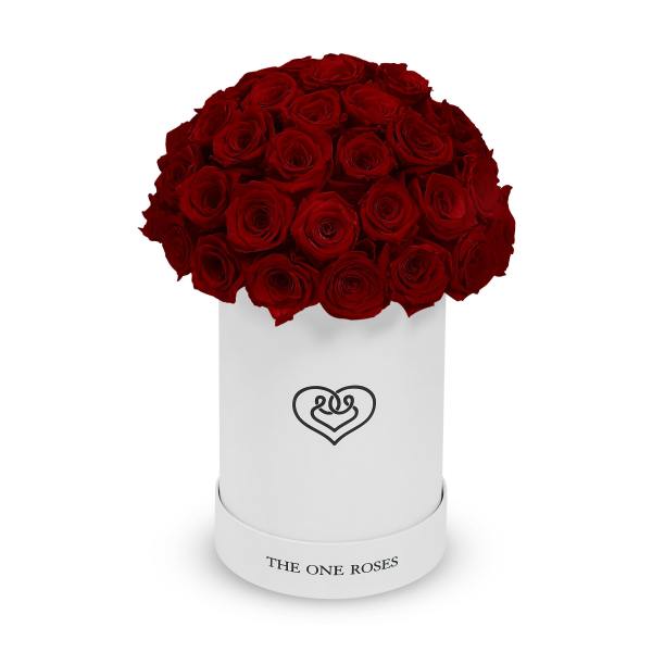 Red roses arranged in a white cylindrical box
