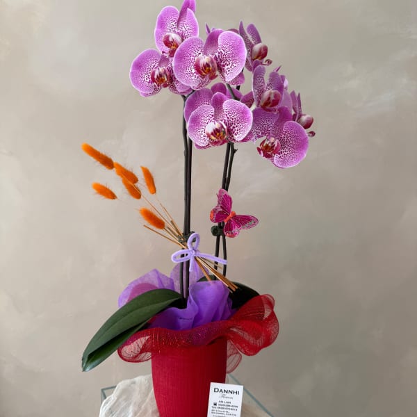 Purple orchids in a red pot with orange accents