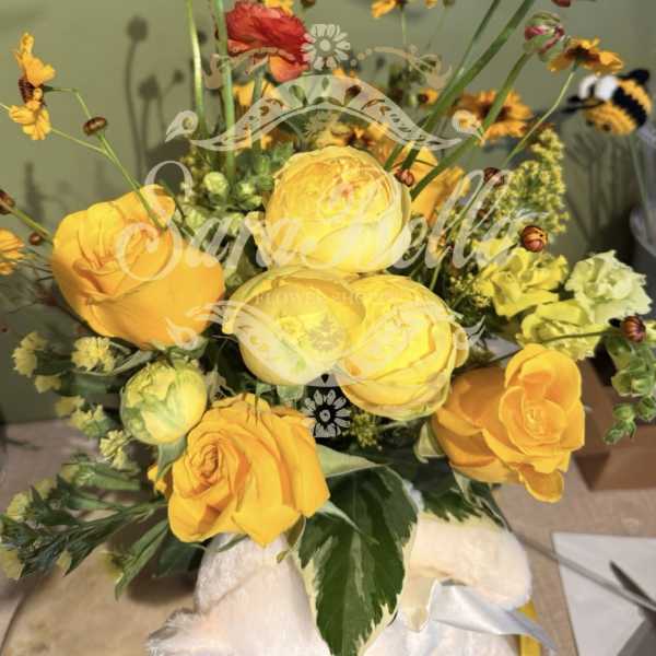 Sunshine Surprise