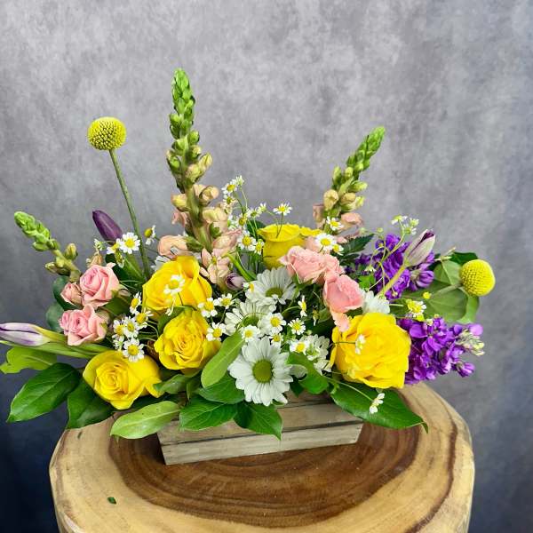 Country Garden Blooms
