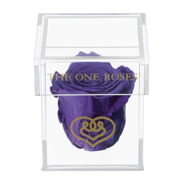 Single purple rose in a clear display box