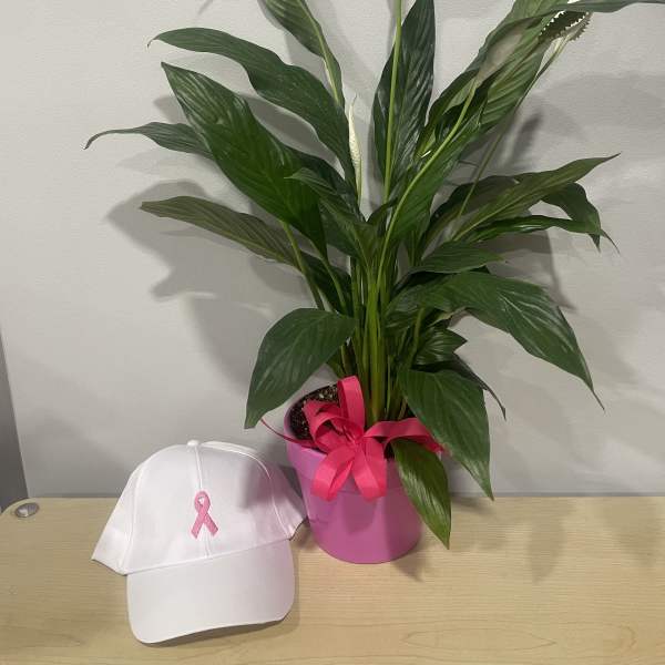 Potted peace lily with white blooms and a pink ribbon beside a white cap